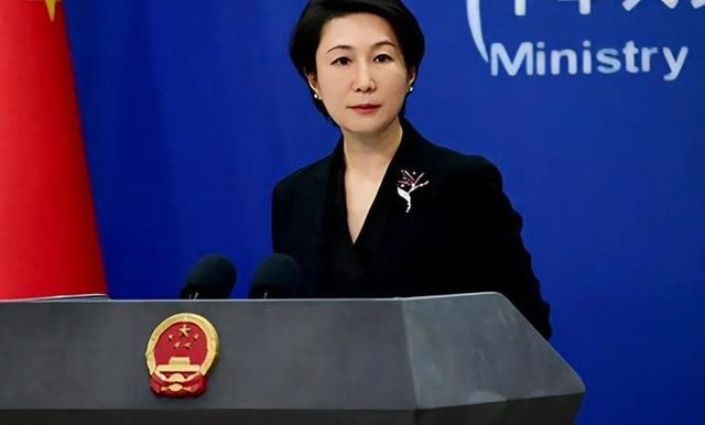 规矩到访的岩屋毅口气变得老老实实爱游戏(ayx)中方提前立了3个(图2)