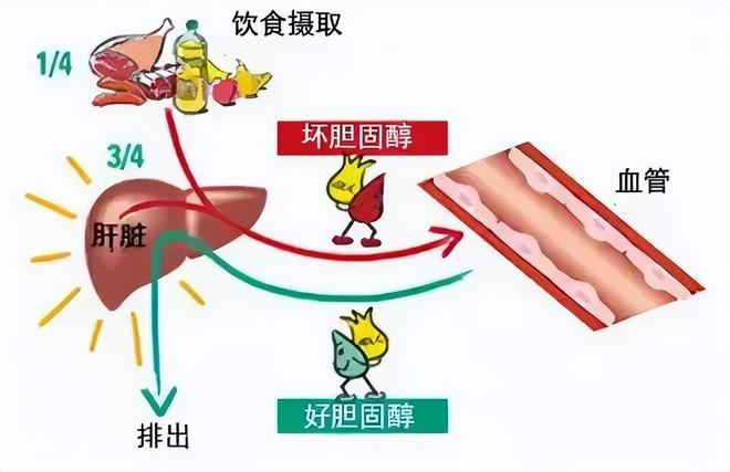 月饼真的无糖吗？爱游戏app无糖